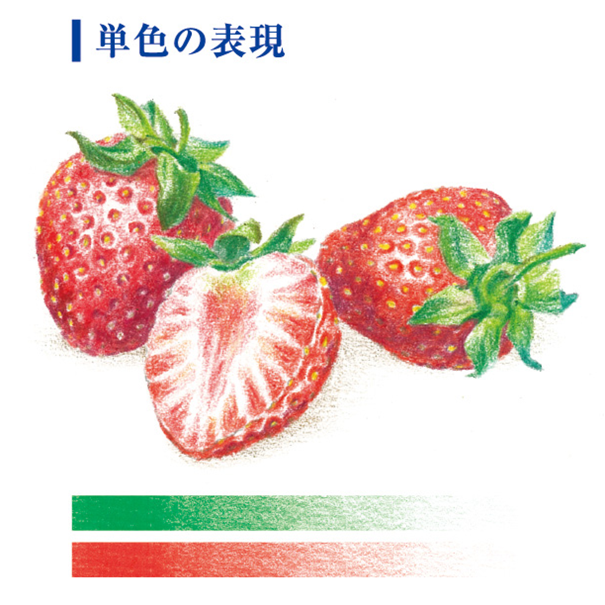 単色の表現