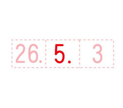 日付差替コマ タートスタンパー丸型 20号 月 12ヶ月分×2